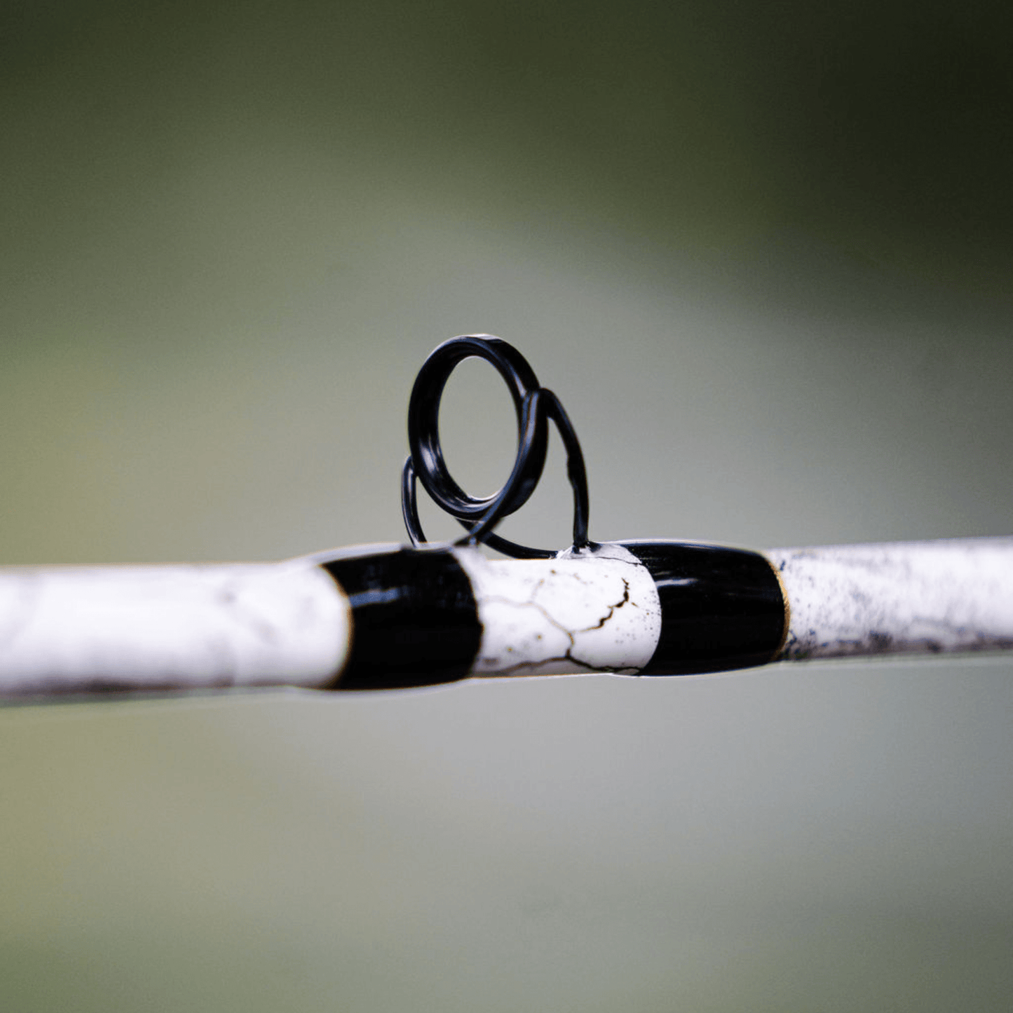 1 of 220 The Testament of Time Spinning Rod - Limited Edition Rod Catfish Pro