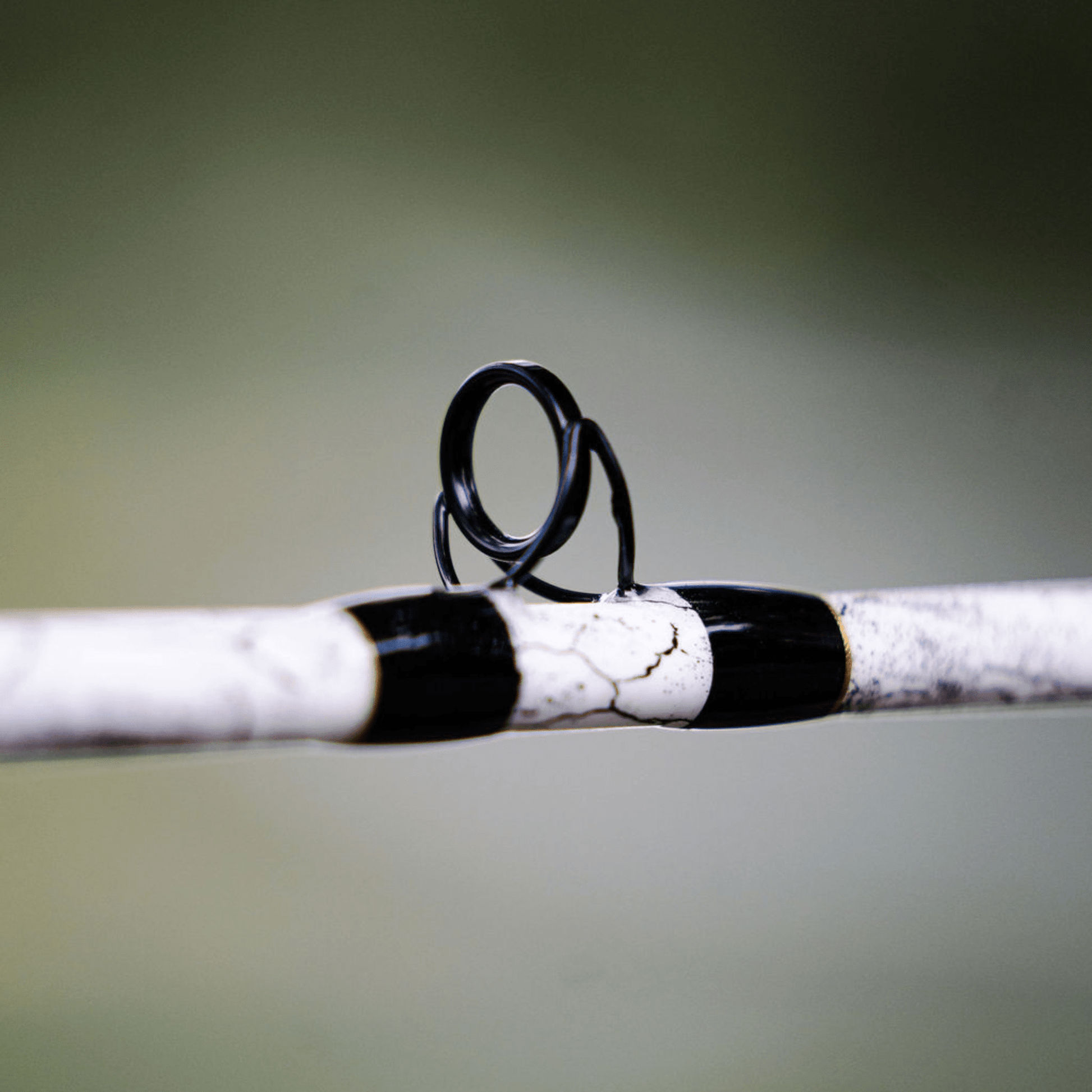1 of 220 The Testament of Time Spinning Rod - Limited Edition Rod Catfish Pro
