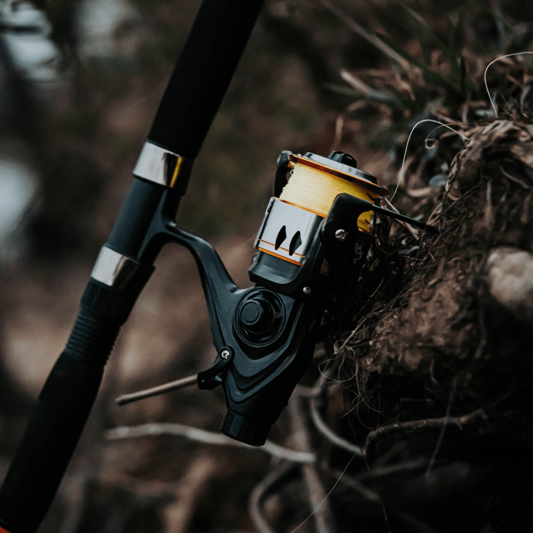 600STS Spinning Reel Catfish Pro