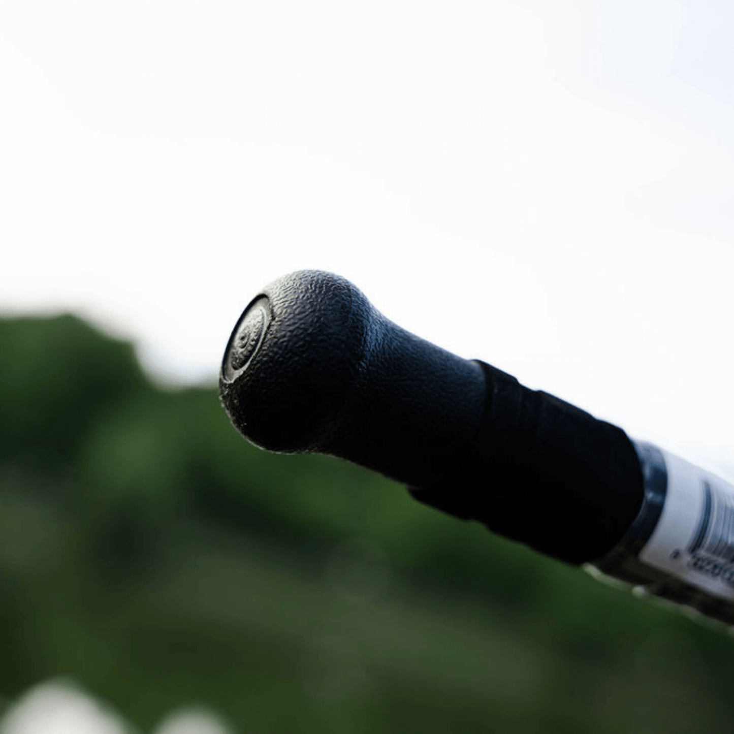 Black Dragon Fire Casting Rod Catfish Pro