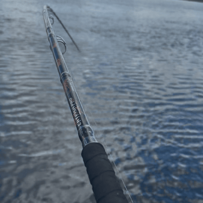 Black Dragon Fire Casting Rod Catfish Pro