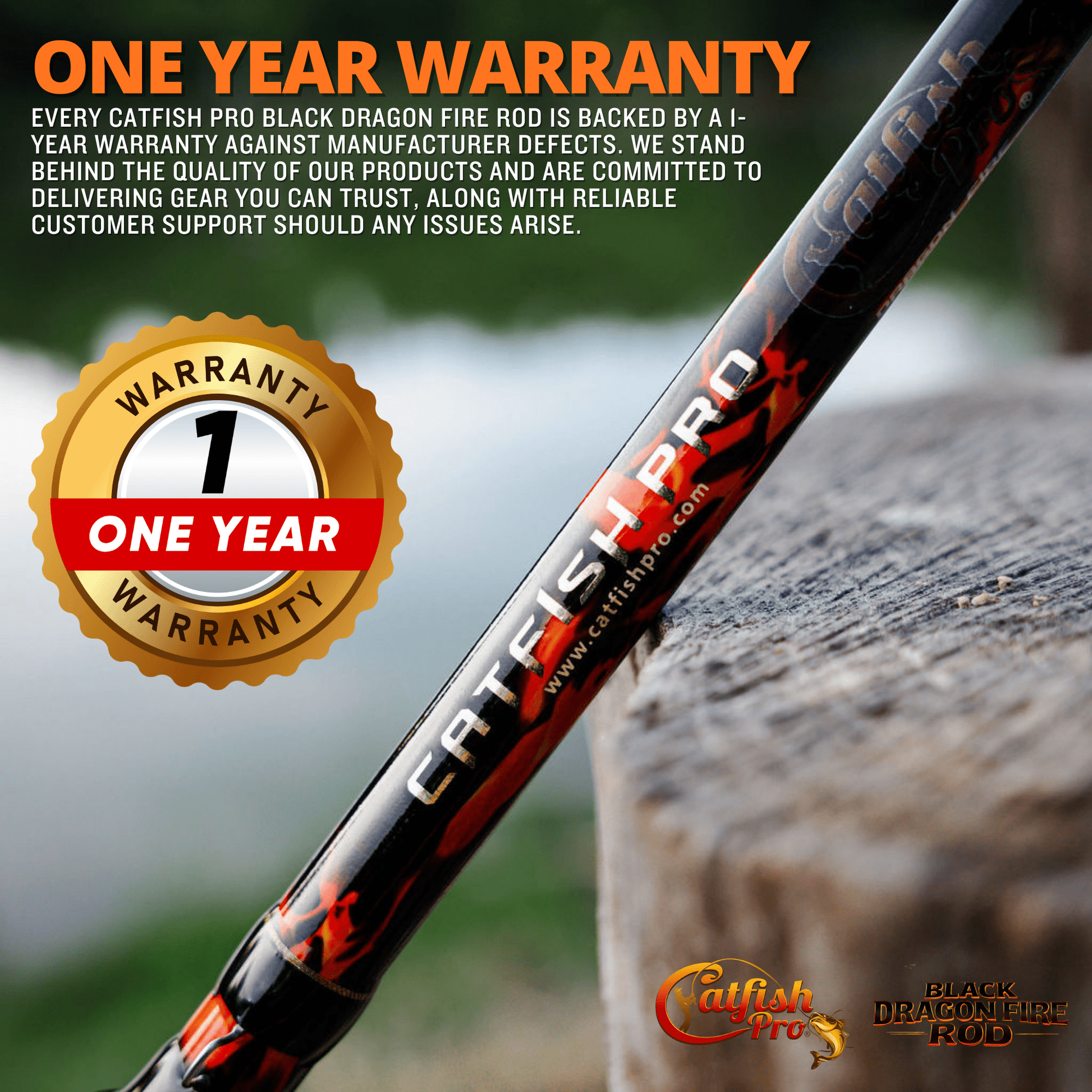 Black Dragon Fire Casting Rod Catfish Pro