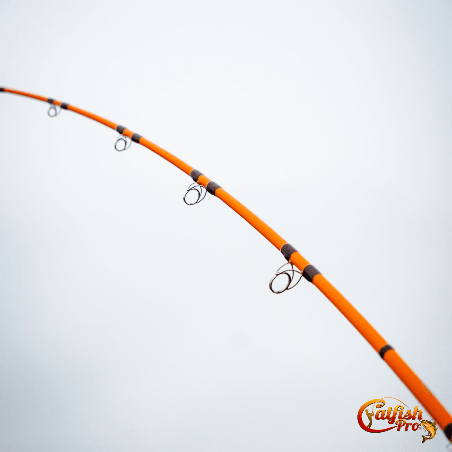 Fishing for Fun Spinning Combo Catfish Pro