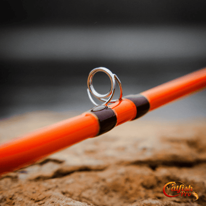 Fishing for Fun Spinning Combo Catfish Pro